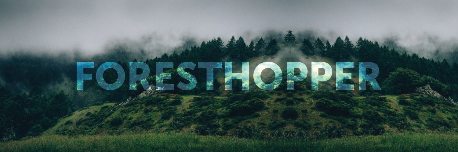 4esthopper's profile banner image