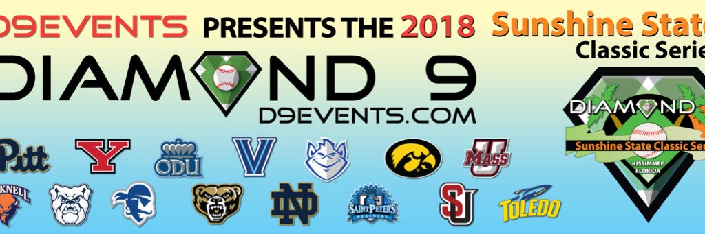 D9 Events Baseball banner