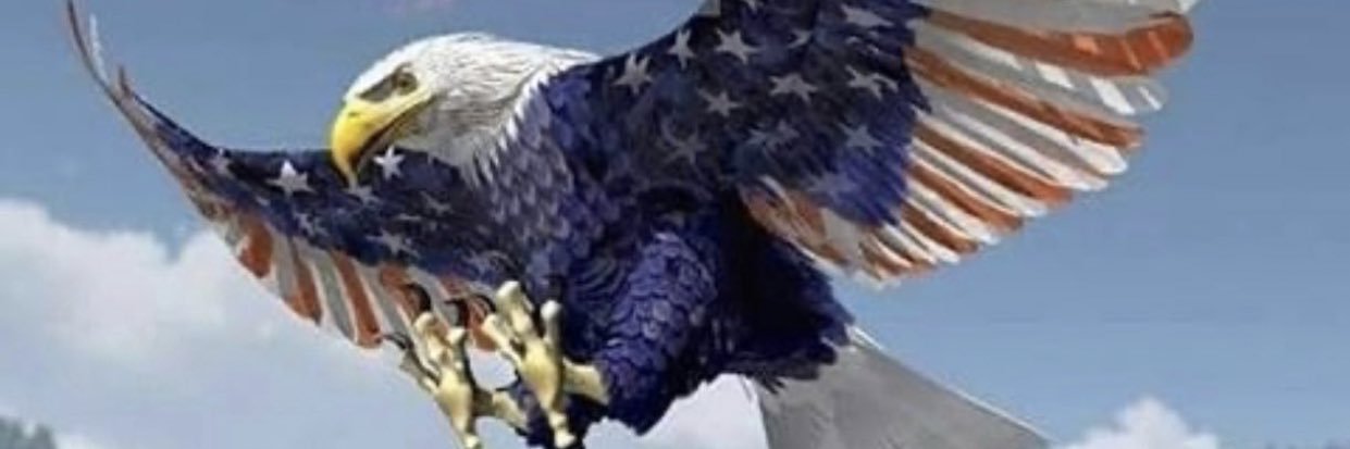 JE10 🇺🇸🦅⬛️⬜️🟥 banner