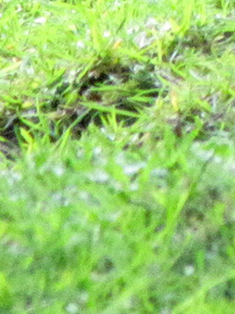 tepilvecin's profile banner image