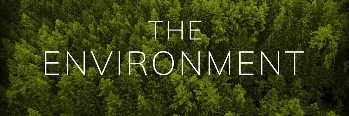 Environment Post banner