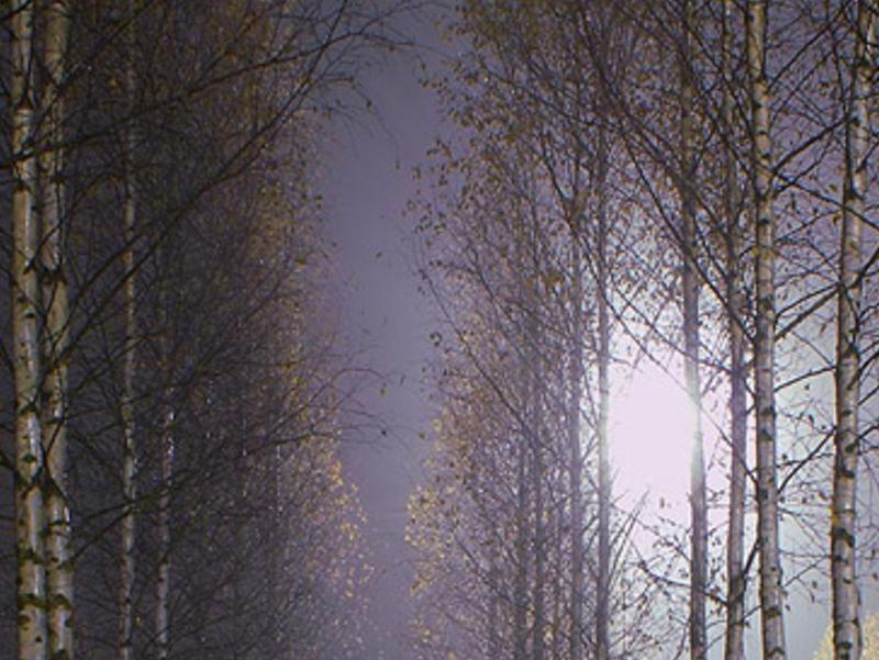 eratls's profile banner image