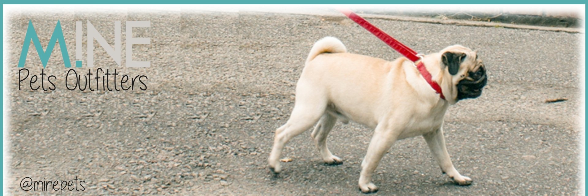 minepets's profile banner image