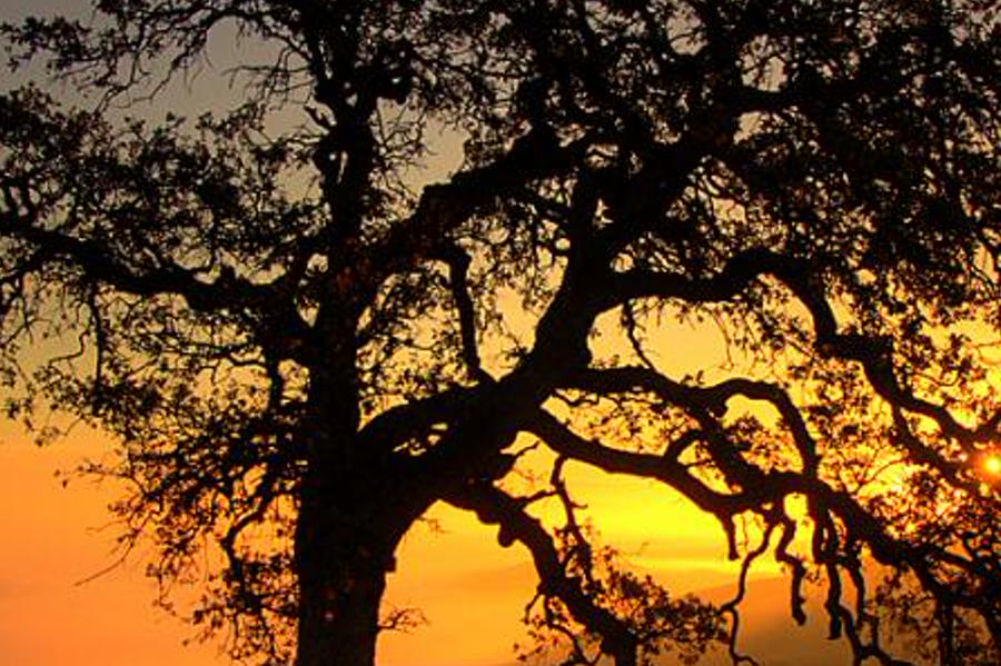 uryacrt's profile banner image