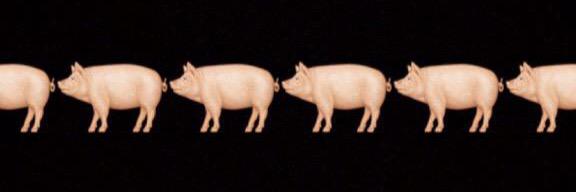 BaconHype's profile banner image