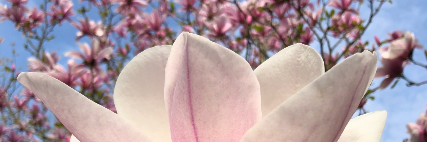 Danielle Ware banner