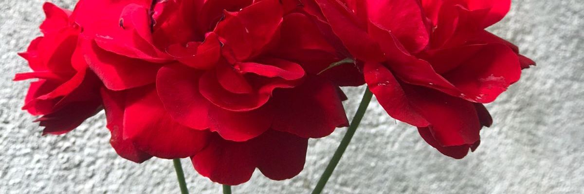 Moraa Ruth.🔬💻 banner