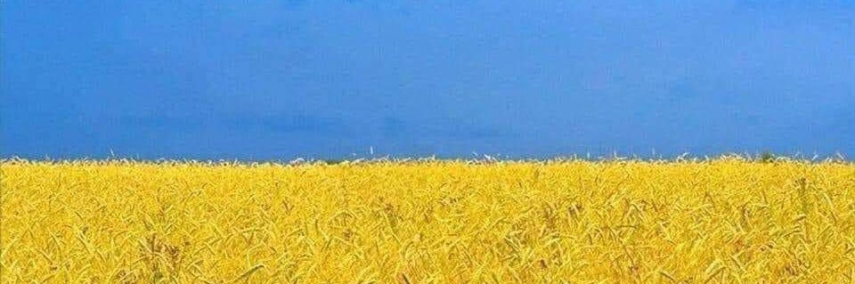 Jan Benkovic 🇸🇰🇪🇺🇺🇦 banner