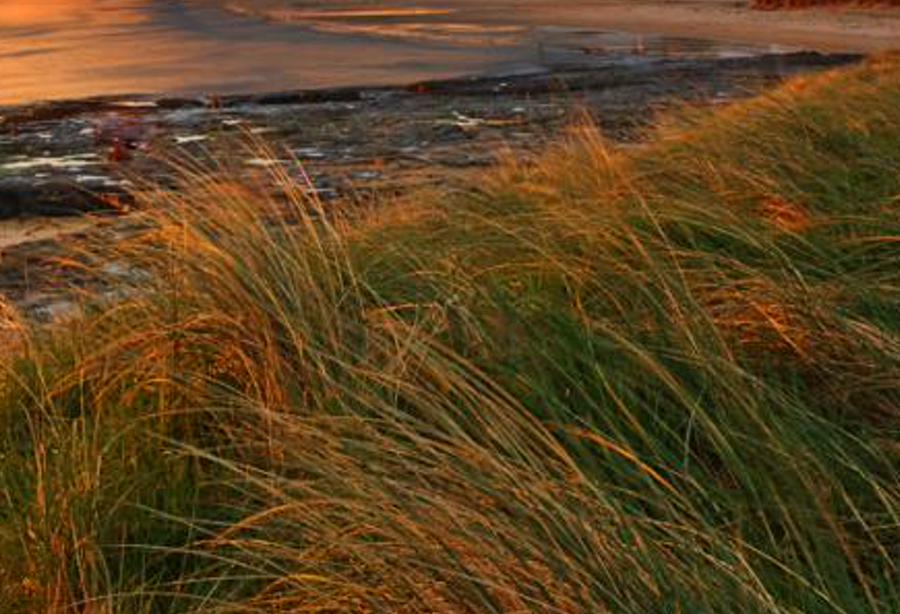 heterthy's profile banner image
