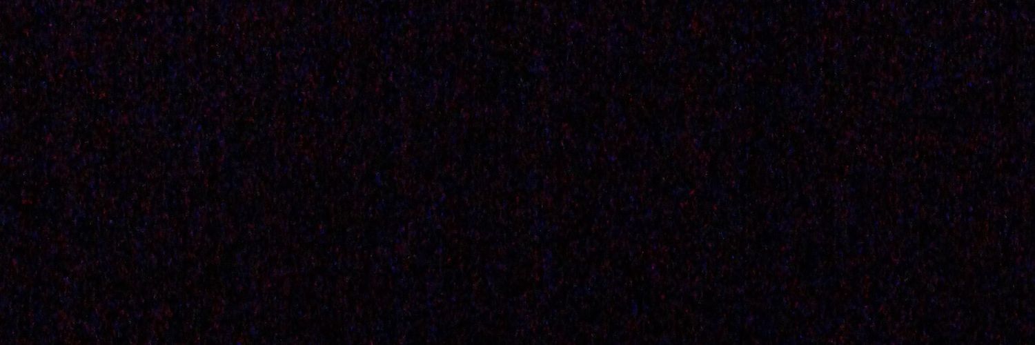pezzi_rodri's profile banner image