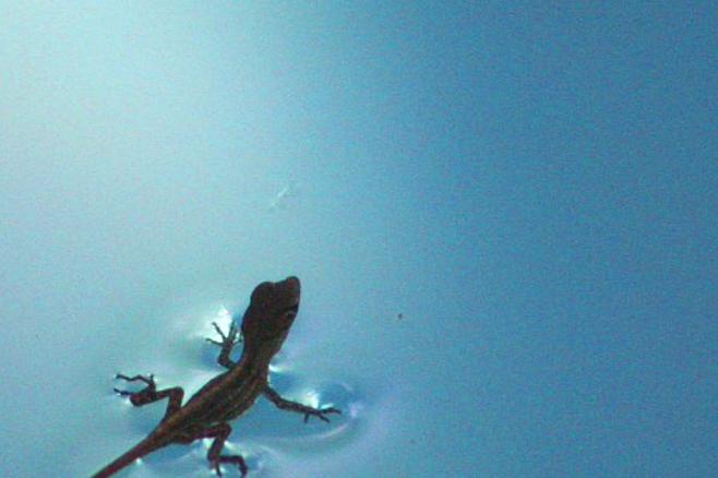 cigask's profile banner image