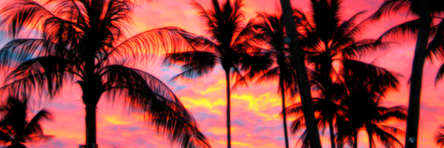 _Robbie_Rob's profile banner image