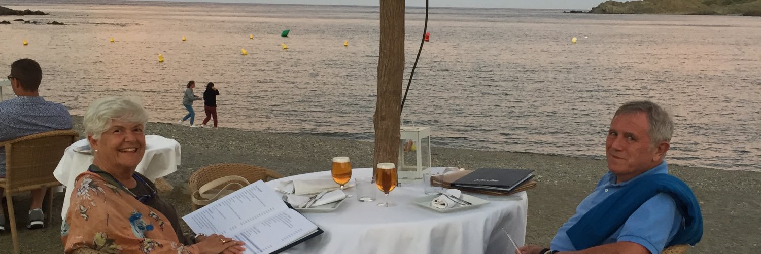 Enric Crous Millet banner