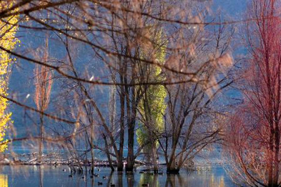aescolonady's profile banner image