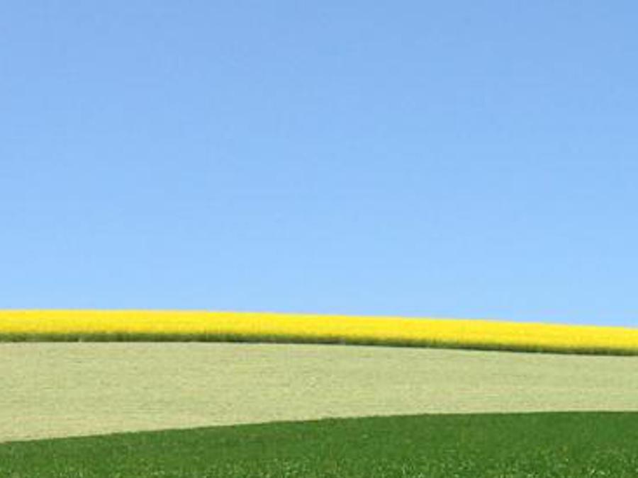 engacticem's profile banner image