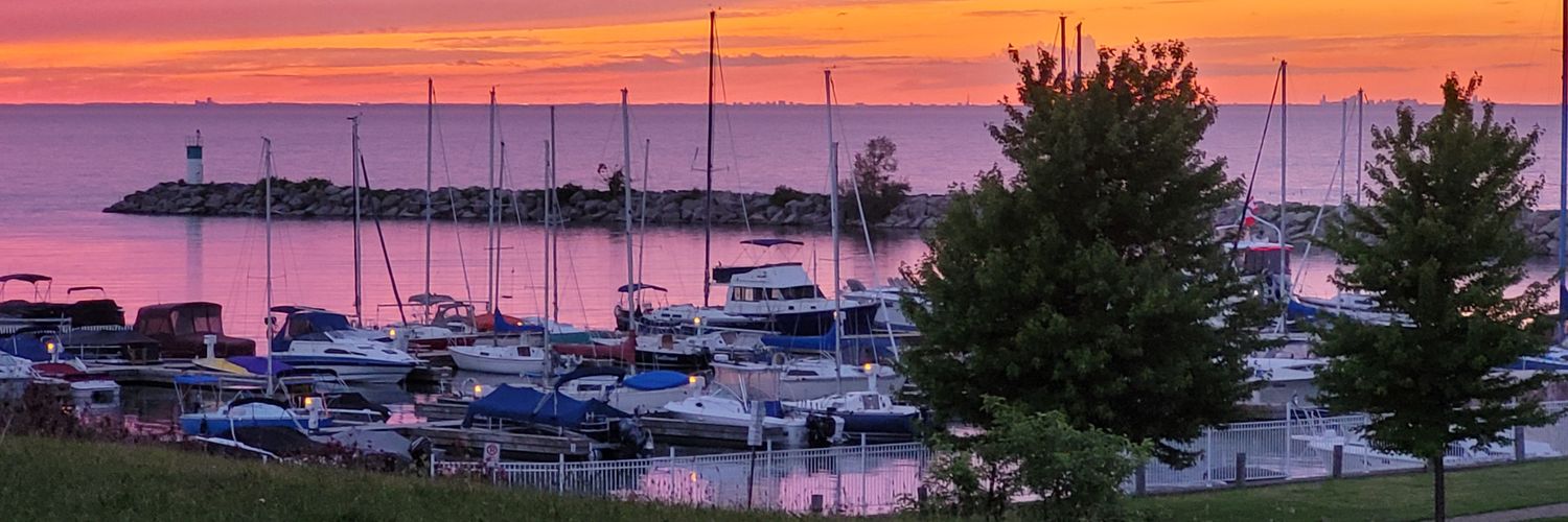 Tara Trowsse-Vagg banner