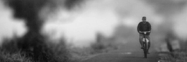 ariboeloe's profile banner image