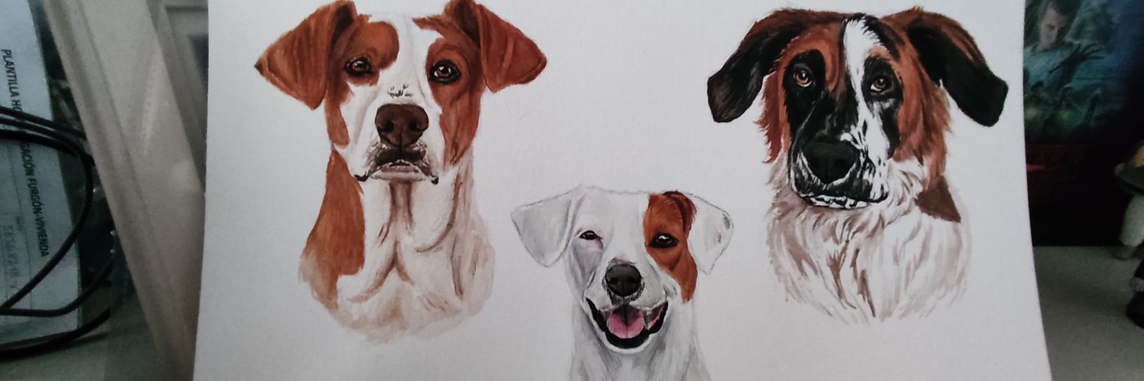 Charis_bO's profile banner image