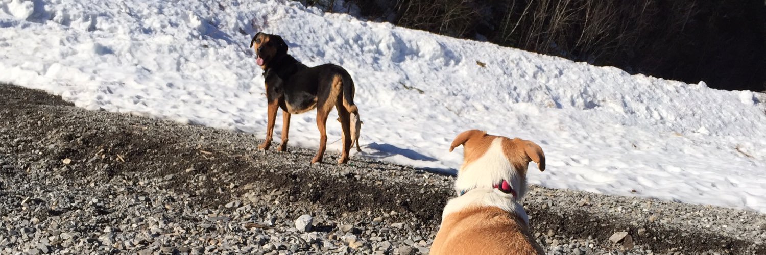 BARKSiDE's profile banner image