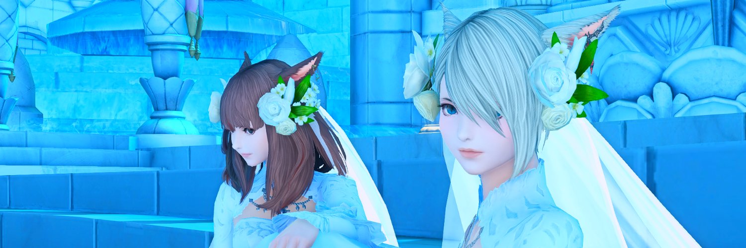 mtocg's profile banner image