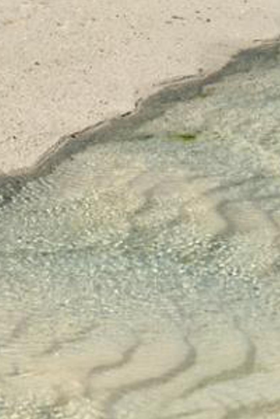 dulleclo's profile banner image