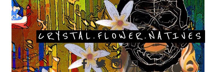 CFNCollection's profile banner image