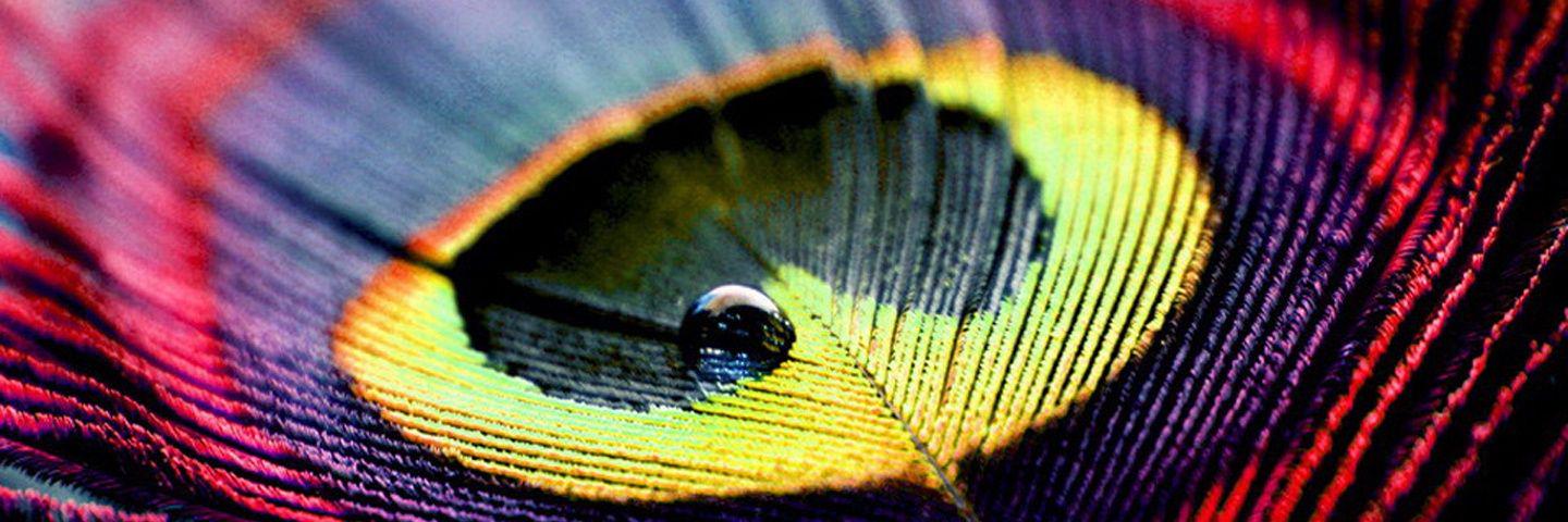 agdanquah's profile banner image