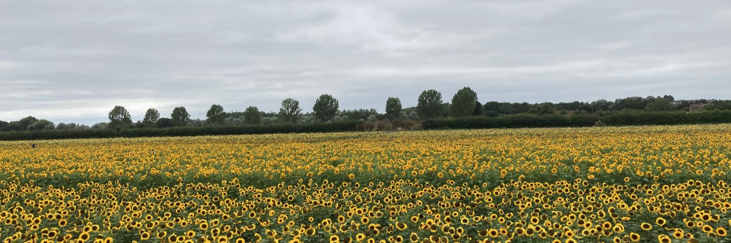 Yuvender Prashar banner