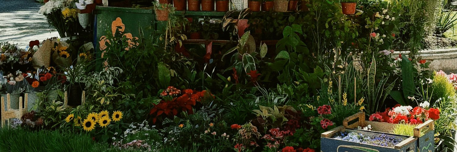 Natilodolo's profile banner image