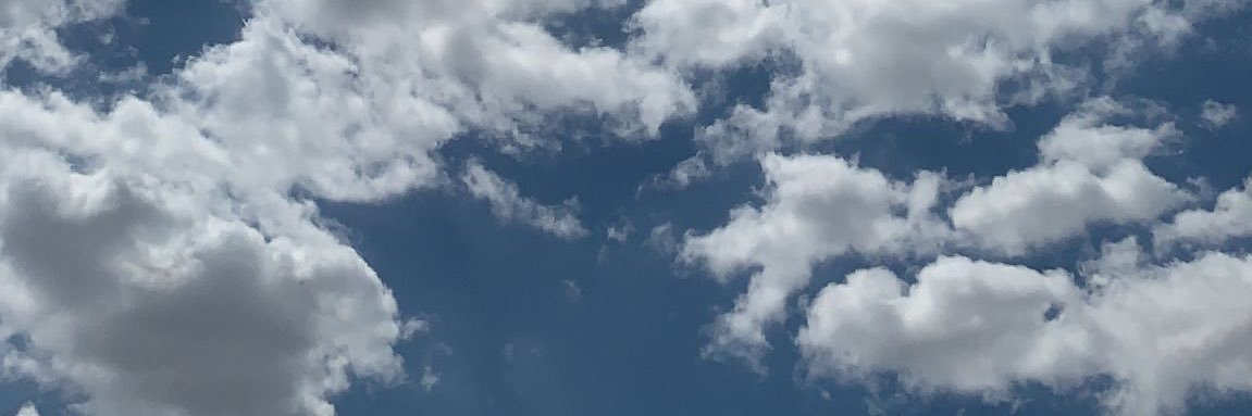 amipa2000's profile banner image