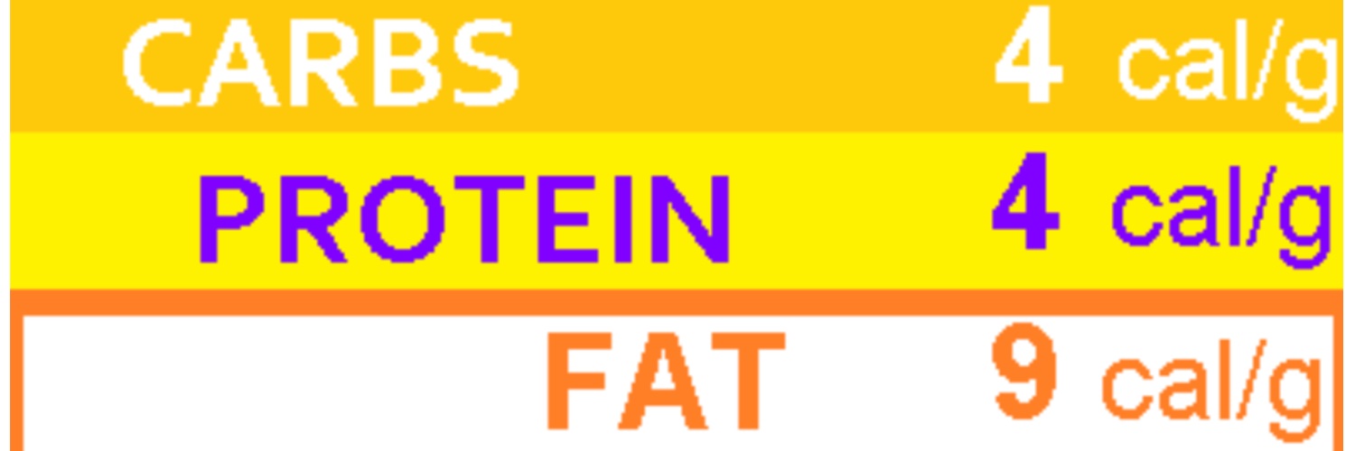 Keto Diet Recipe banner