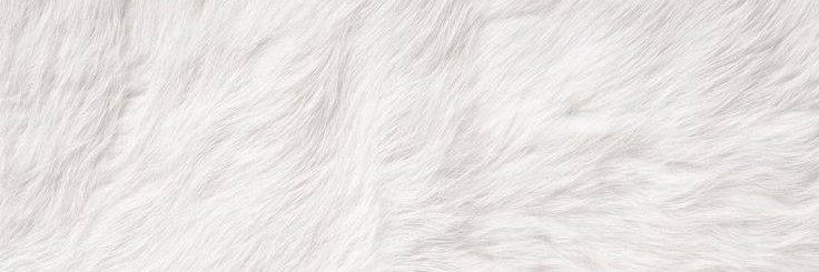 paigeddxia's profile banner image