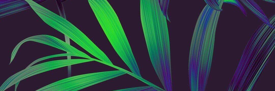 Nichholleee's profile banner image