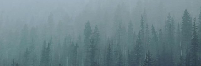 brochu97's profile banner image