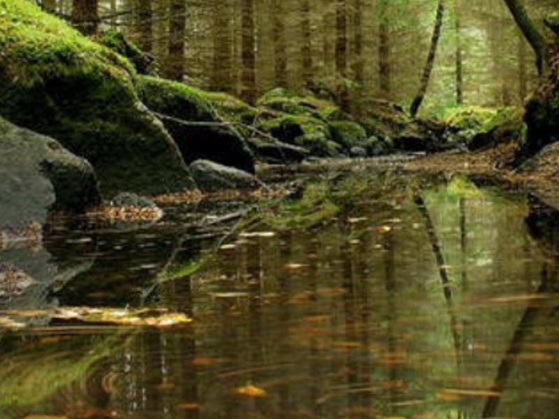 dalystil's profile banner image