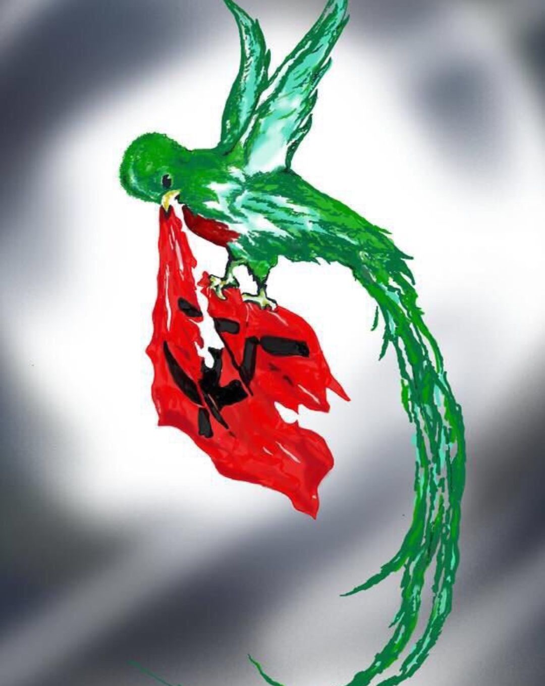 marcomontufar's profile banner image