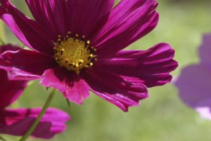 mecaff's profile banner image