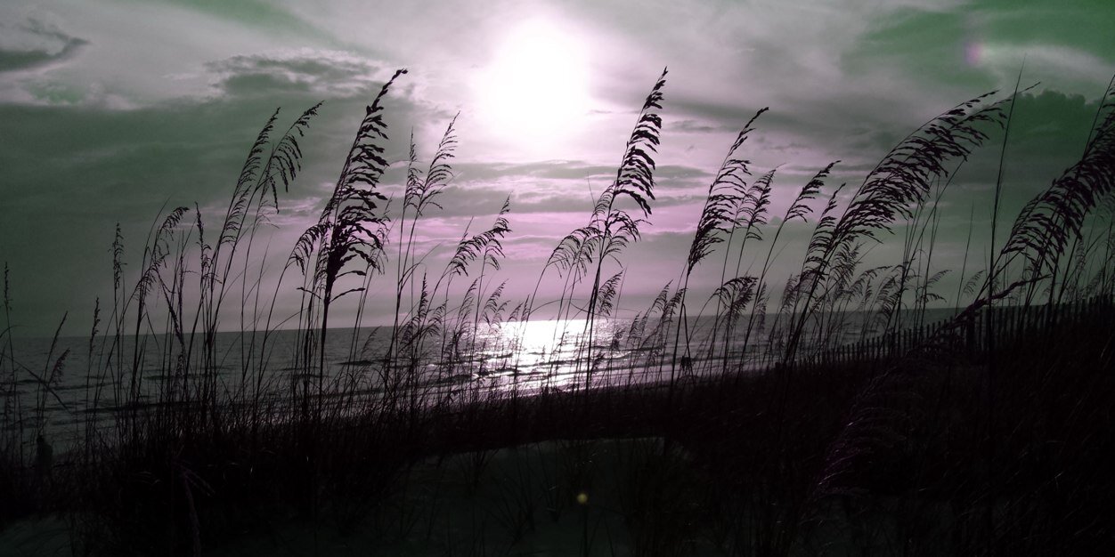 rondaryoder's profile banner image