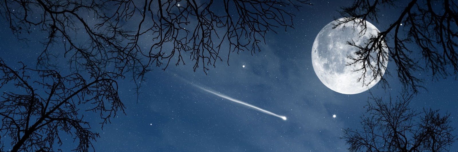 ☆Midnight☆ banner