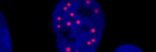 HobbsDermLab's profile banner image