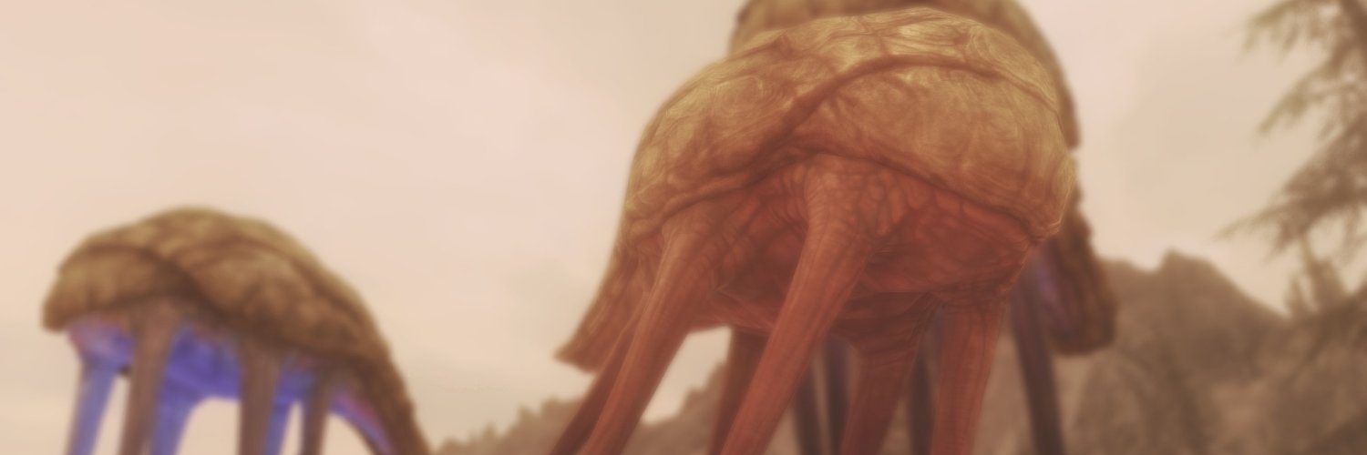 exendraw's profile banner image