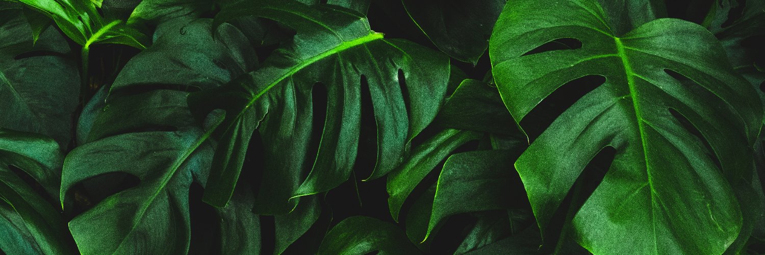 TheIndGroup's profile banner image