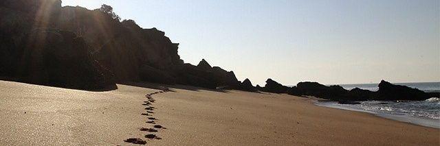 CONIL TURISMO banner