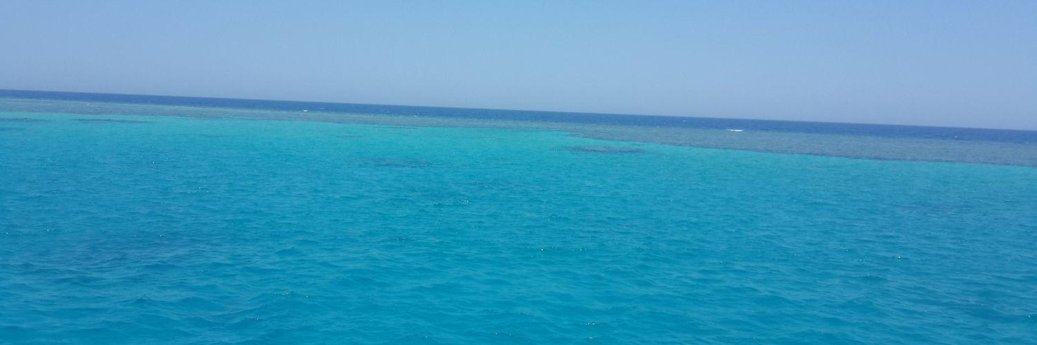LForLola's profile banner image