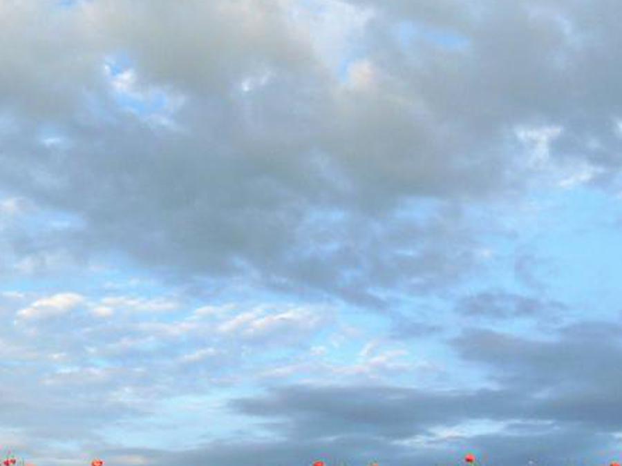 acrisho's profile banner image