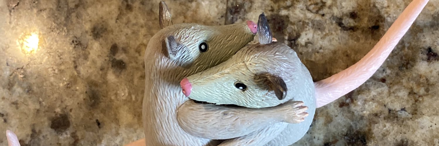 Cassdwilll's profile banner image