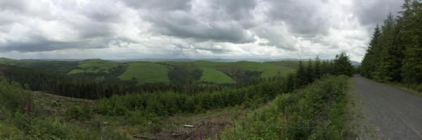 TomJenkinsFR Profile Banner