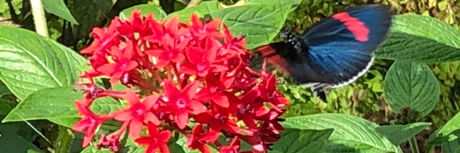 kimberlyharing's profile banner image