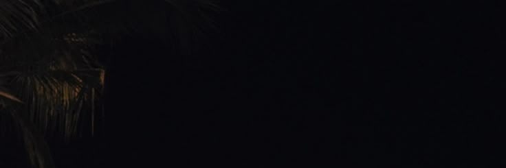 Rich коко J00NG banner