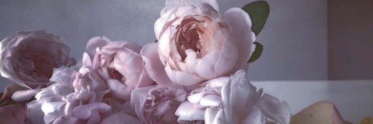 CiniMinni22's profile banner image